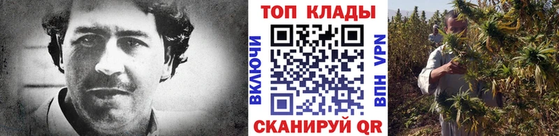 Купить закладку COCAIN  МАРИХУАНА  МЕФ  Alpha-PVP  ГАШИШ  Светлогорск