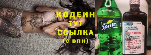 шишки Беломорск