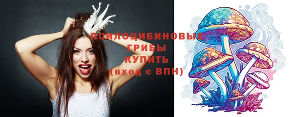 сатива Арсеньев