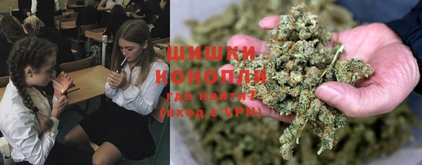 шишки Беломорск