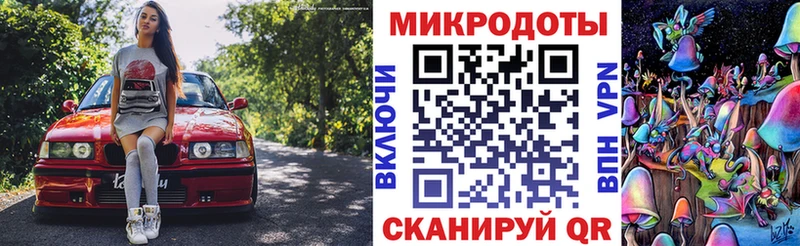 Купить закладки Светлогорск Псилоцибиновые грибы Psilocybine cubensis